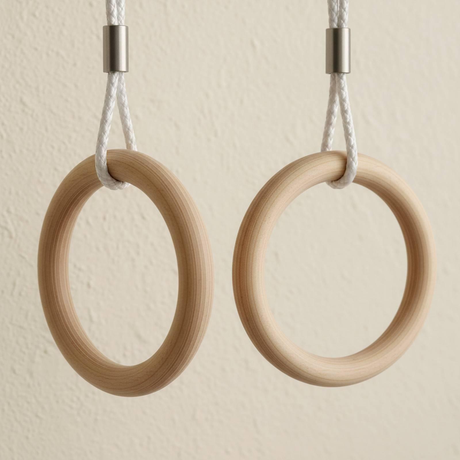 Anelli da Ginnastica Regolabil - Gymnastic Ring recensione e prezzo